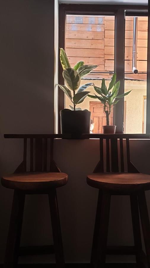 Casa Arion Apartment Baile Herculane Luaran gambar