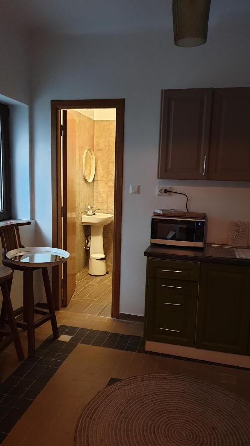 Casa Arion Apartment Baile Herculane Luaran gambar