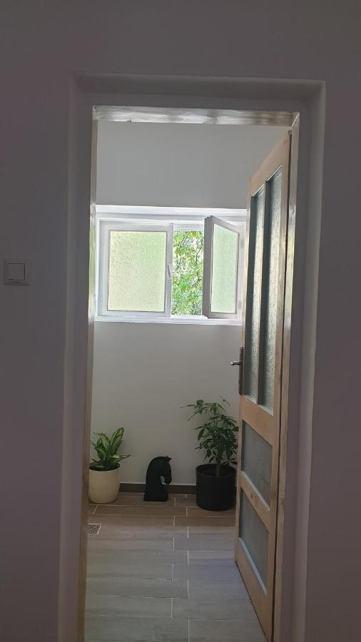 Casa Arion Apartment Baile Herculane Luaran gambar