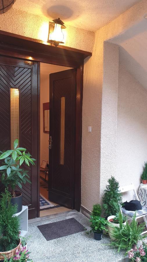 Casa Arion Apartment Baile Herculane Luaran gambar
